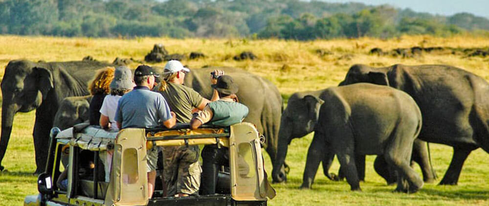 Yala Sri Lanka