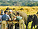 Yala Sri Lanka